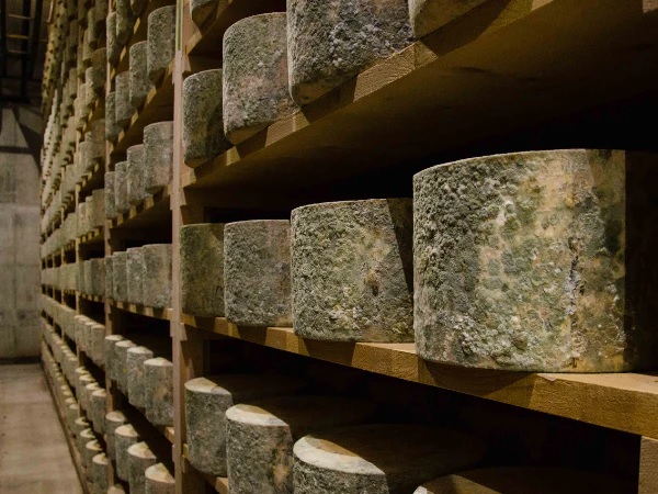 22 Tonnes Of Cheese "stolen" In London | News - Hits Radio Chilled